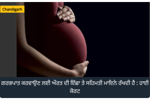 Pregnant women case file